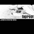 Taproot : Something More Than Nothing
